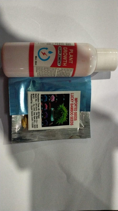 Multi Colour Lucky Bamboo Seeds + Plant Growth Serum 50 ML Free