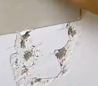 🛡Waterproof & Mildew-Resistant Wall Repair Paste🌿🔥Buy 1 Get 1 free🔥