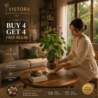 🎈🪴Red rattan Stephania Erecta Bulbs: The strongest houseplant for lazy people🌿🌸Buy 4 Get 4 Free Bulbs🌸