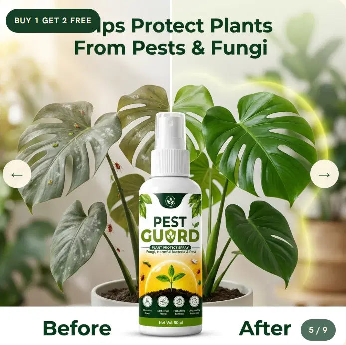 Pest Guard™ – Plant Protect Spray (Buy 1 Get 2 Free)
